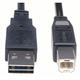 Cable USB A to USB B - 2464 CUP