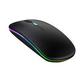 Mouse Wireless y Bluetooth Negro